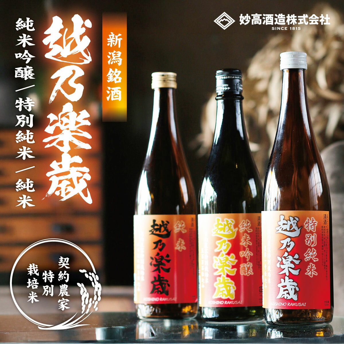 中国酒2本セット 中国酒2本セット 日本酒 2本セット 日本酒2