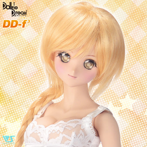 DD Standard Models — VOLKS USA, INC.