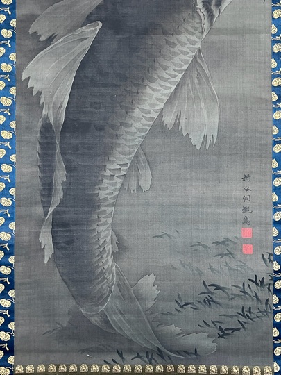 魚紋図（群鯉)】松井香瑶 2685 共箱 掛け軸 肉筆 魚紋図（