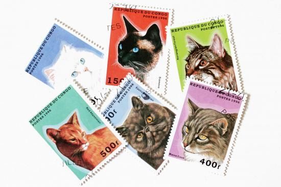 2797 外国切手 海外国々 ペット 猫 ねこ 色々 銷印有 18種まとめ 2797
