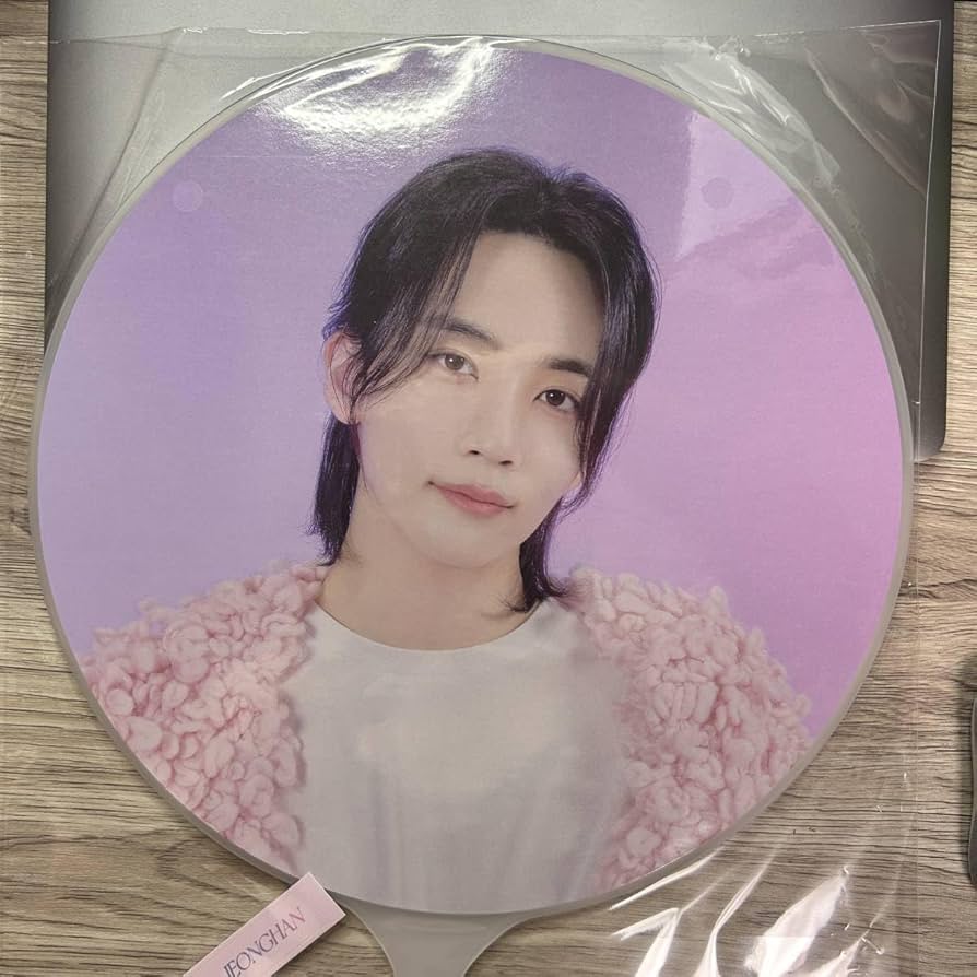 SEVENTEEN JEONG HAN うちわ BETHESUN SEVENTEEN ジョンハン BE THE