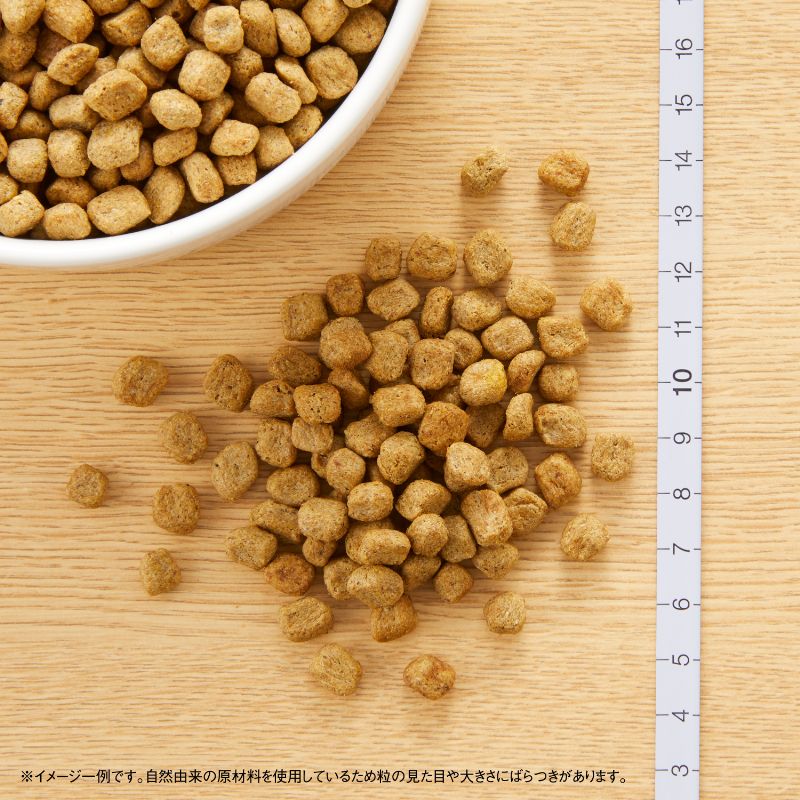 公式通販限定】ニュートロ ナチュラル チョイス 減量用 超小型犬〜小型